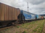 RUMO HTT-351091-3